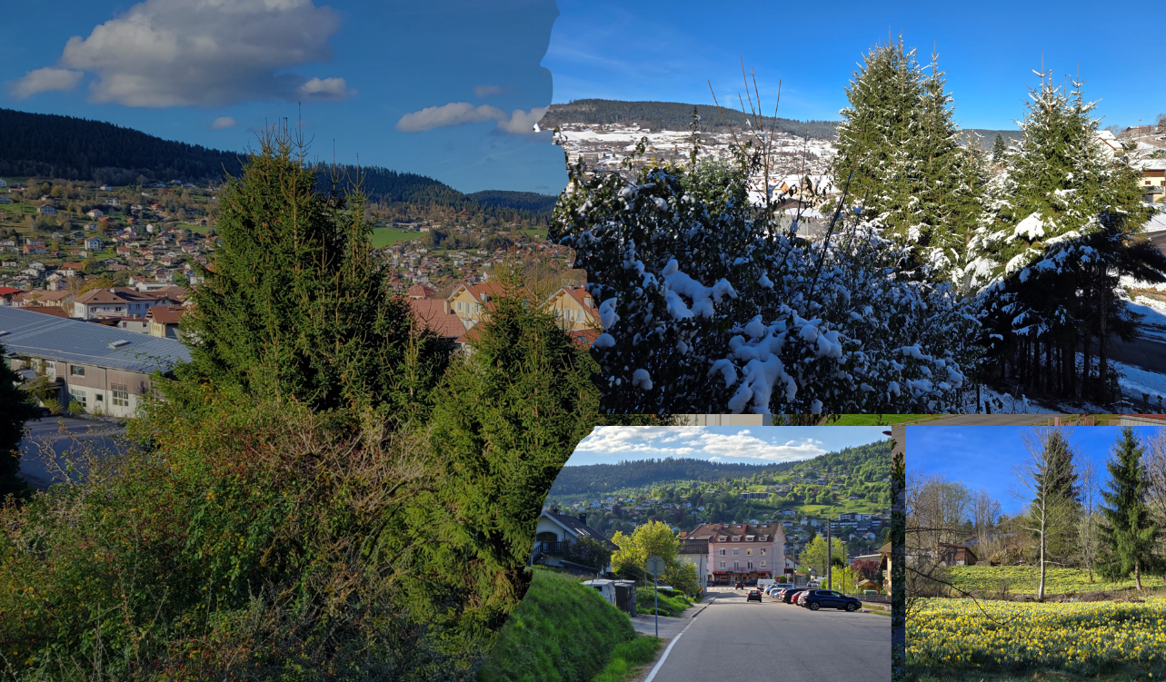 Gérardmer centre Chalets des Privilèges - Location saisonnière haut de gamme à Gérardmer